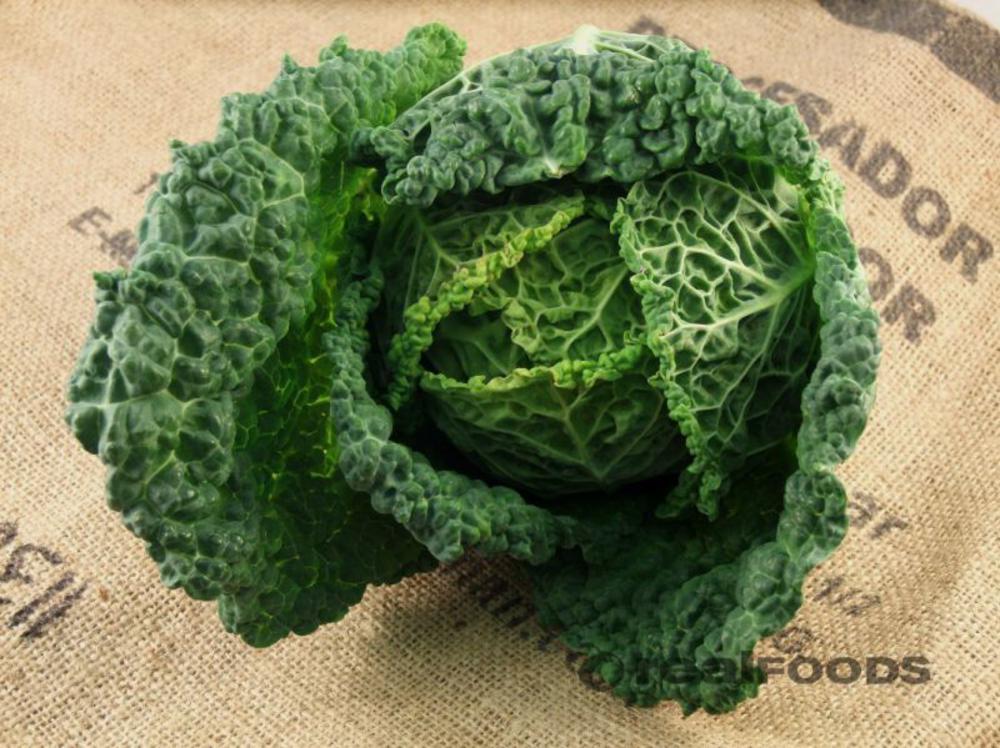 Lovely green cabbage