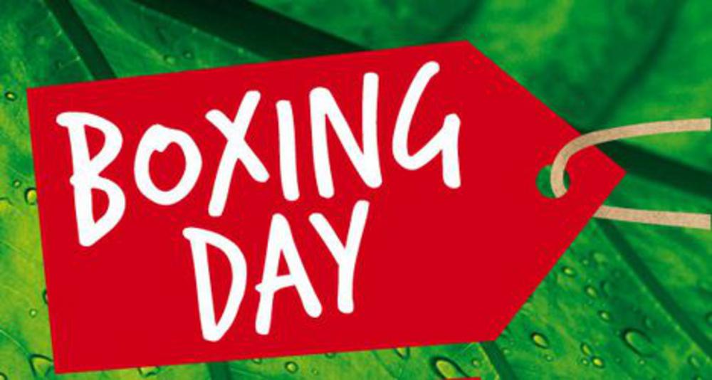 Boxing Day and Hogmanay