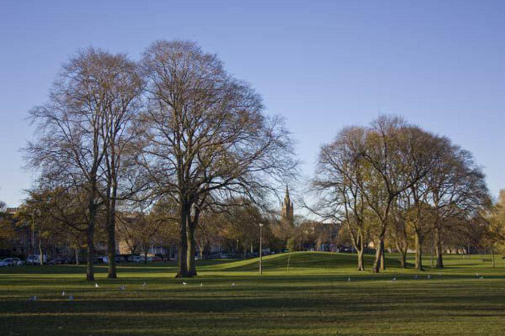 leith links picnic