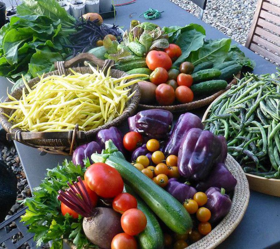 A selection of veggies in baskets