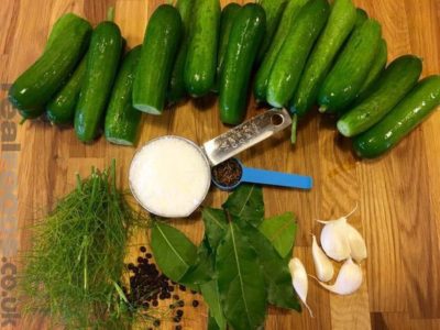 Our quick introduction to fermenting