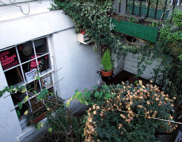 Basement garden