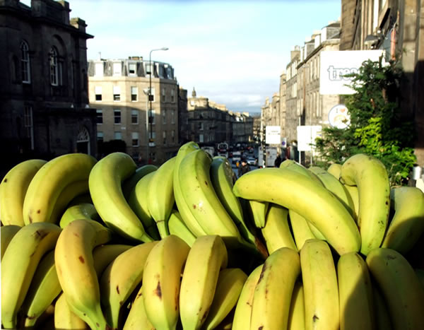 Bananas at street side