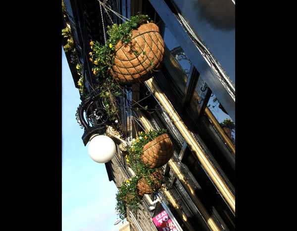 Hanging baskets outside pub