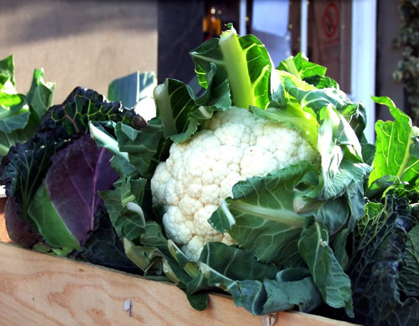 Cauliflowers on display