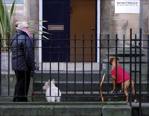 Dogs on Broughton Street